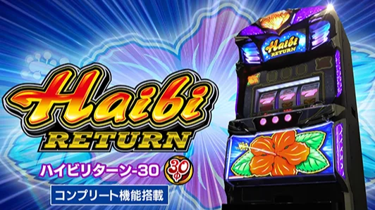 ハイビリターン-30